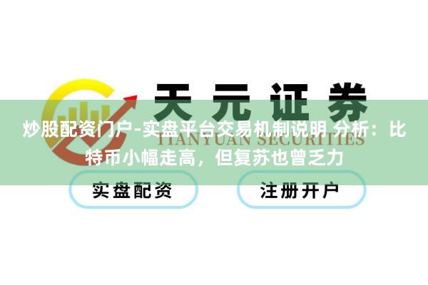 炒股配资门户-实盘平台交易机制说明 分析：比特币小幅走高，但复苏也曾乏力