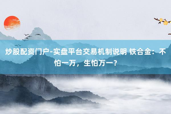 炒股配资门户-实盘平台交易机制说明 铁合金：不怕一万，生怕万一？